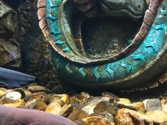 -波塞冬旅游度假区