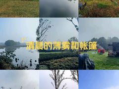 -梁鸿国家湿地公园