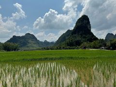 -靖西鹅泉风景区