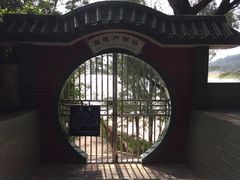 -广东惠东海龟国家级自然保护区