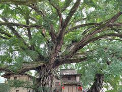 -云水谣景区
