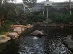 -龙达温泉生态城