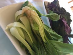 多利农庄有机体验馆-上海多利农业发展有限公司