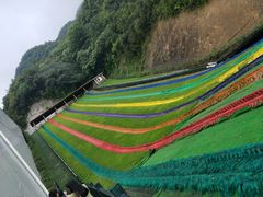 -梦幻奥陶纪景区