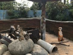 -泉州海丝野生动物世界