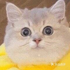 哎呀妈呀这个桂林酸笋板烧堡