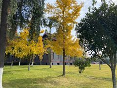 -四川大学(华西校区)