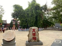 -大槐树寻根祭祖园