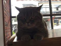 -B.O.M波姆烘焙(凤凰街店)
