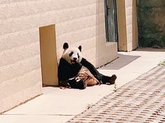 -石家庄市动物园