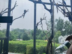 -武汉动物园