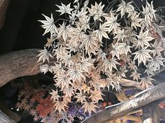 -城墙拐拐火锅(三峡广场黑金冠店)