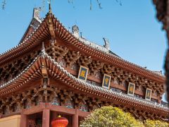 -洛阳白马寺