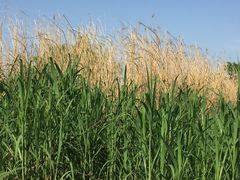 -千龙湖生态旅游度假区