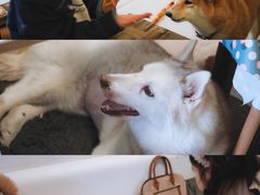 -小时光咖啡馆(北锣鼓巷店)