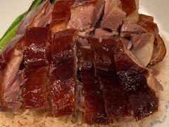 -新世界餐厅(万达店)