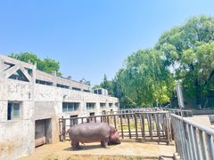 -保定市动物园