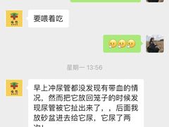 -福懋动物医院·犬猫全科·外科·重症科(杏林分院)