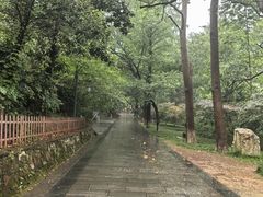 -敬亭山风景名胜区