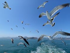 -海驴岛(荣成市)