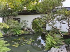 -上海醉白池公园