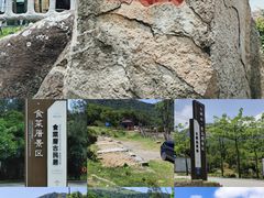 -大姆山草场