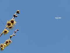 -昆山城市生态森林公园