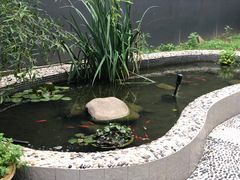 -常州富力喜来登酒店 Feast盛宴标帜西餐厅(新北万达广场店)