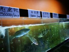 -国际金钻海鲜餐厅