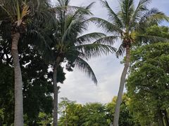 -深圳湾公园(南山区)