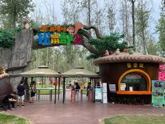 -合肥滨湖国家森林公园