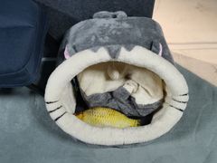 -零纪元VR体验馆·桌游(黄浦店)