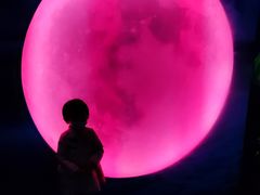 -天津梵高星空艺术馆(天河城旗舰店)