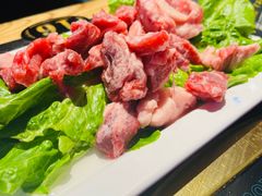 -杨记齐齐哈尔烤肉(五莲路店)