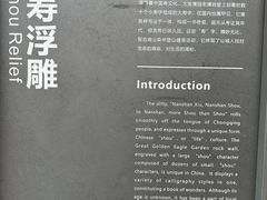 -大金鹰园