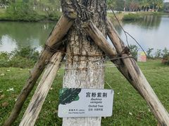 -万绿园
