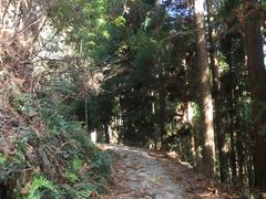 -井冈山风景名胜区-黄洋界