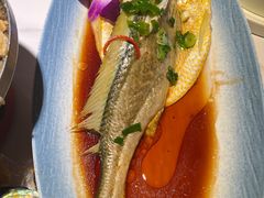 -33号大院·青岛本帮菜(五四广场店)
