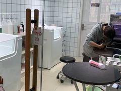-老吴的猫·猫舍(新区店)