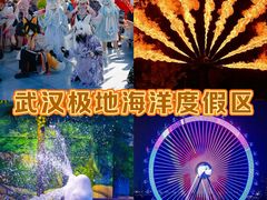 -海合安武汉极地海洋公园