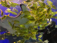 -海合安成都极地海洋公园