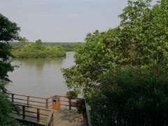 景点-大湾区中央湿地公园