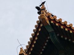 -故宫博物院(故宫)