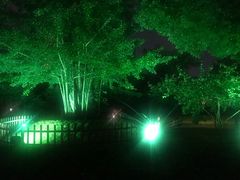 -武汉知音号