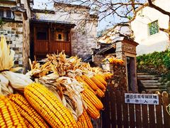 -塔川景区