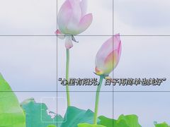 -嘉北郊野公园