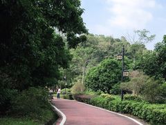-大屏嶂森林公园