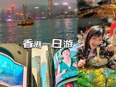 -九龙公园