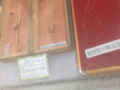 -北京中医药大学-中医药博物馆
