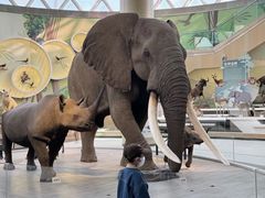 -陕西自然博物馆